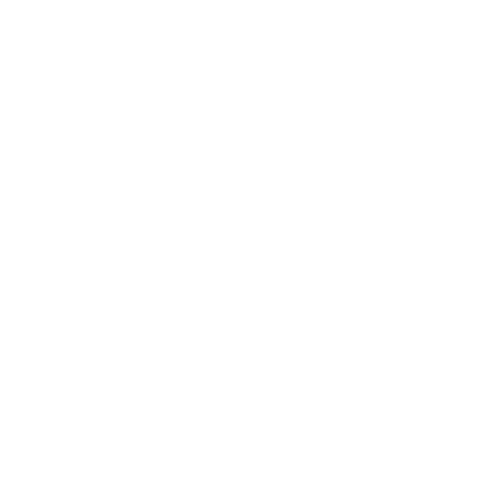 Partner 1