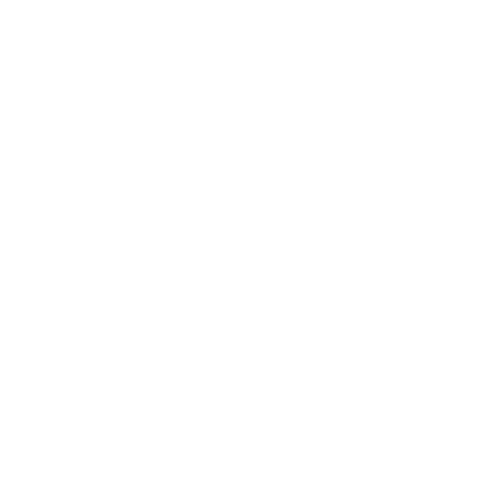 Partner 20